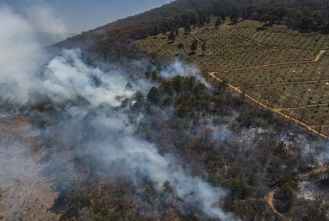 afp2024032734mf4cpv1highresmexicoenvironmentwildfires-17116203470921700569235.webp