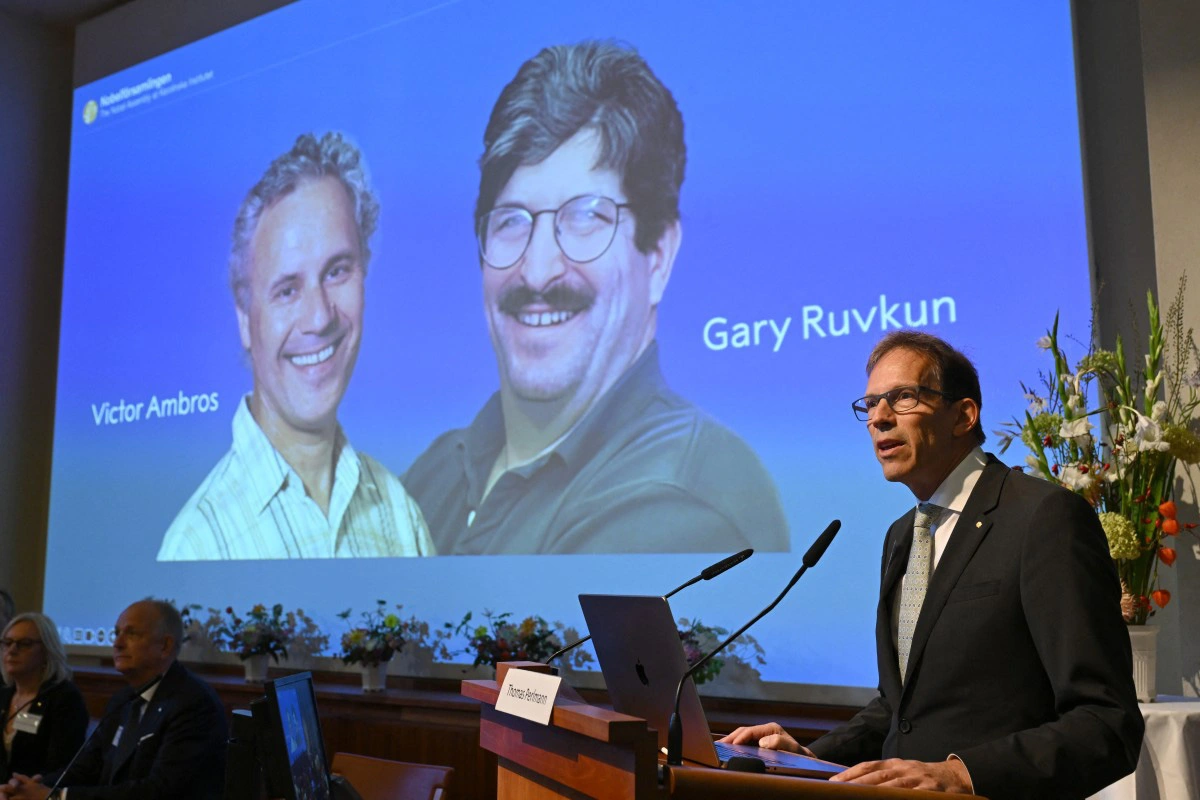 afp2024100736jf3ucv1previewphysiologyormedicinenobelprizeannouncement-1728295247605876709957.webp