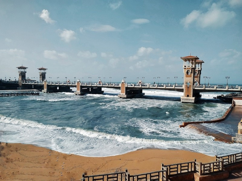 alexandria-stanley-1-1704740314.jpg