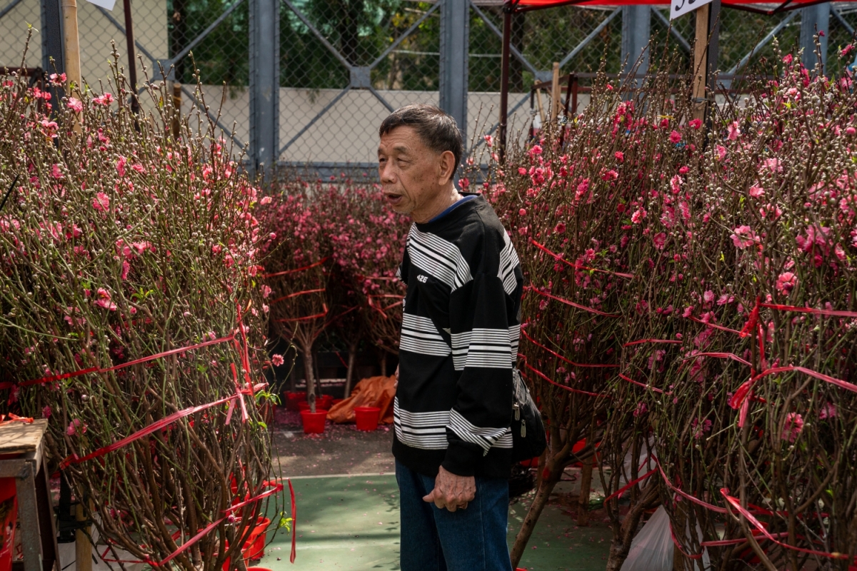 anh-cat-AFP-20240206-yuen-hongkong240206-npC81-v1-HighRes-HongKongLunarNewYearFair-1707444976.jpg