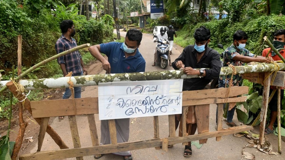 anh_virus_nipah.jpg