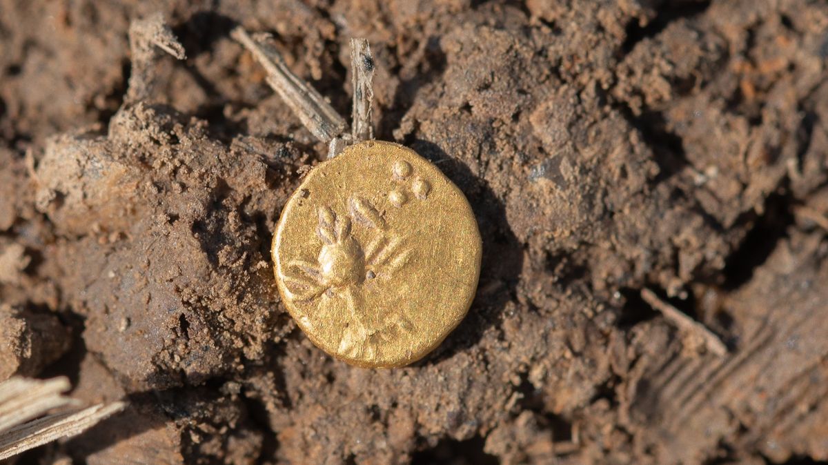 archeologie-plzensko-keltove-mince.jpeg