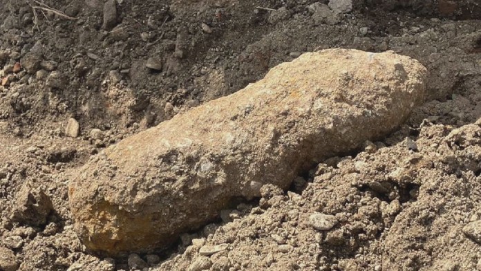 b3143063-e053-42c1-8e37-281eec317c76.jfif