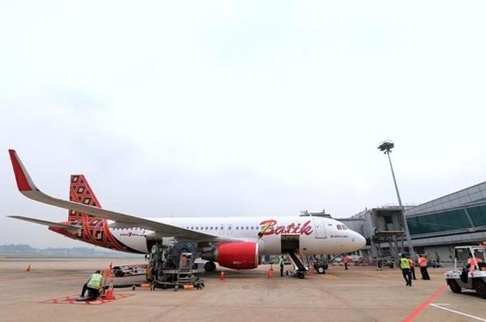 ba536db2fafe13a04aef.jpg