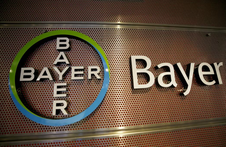 bay.webp