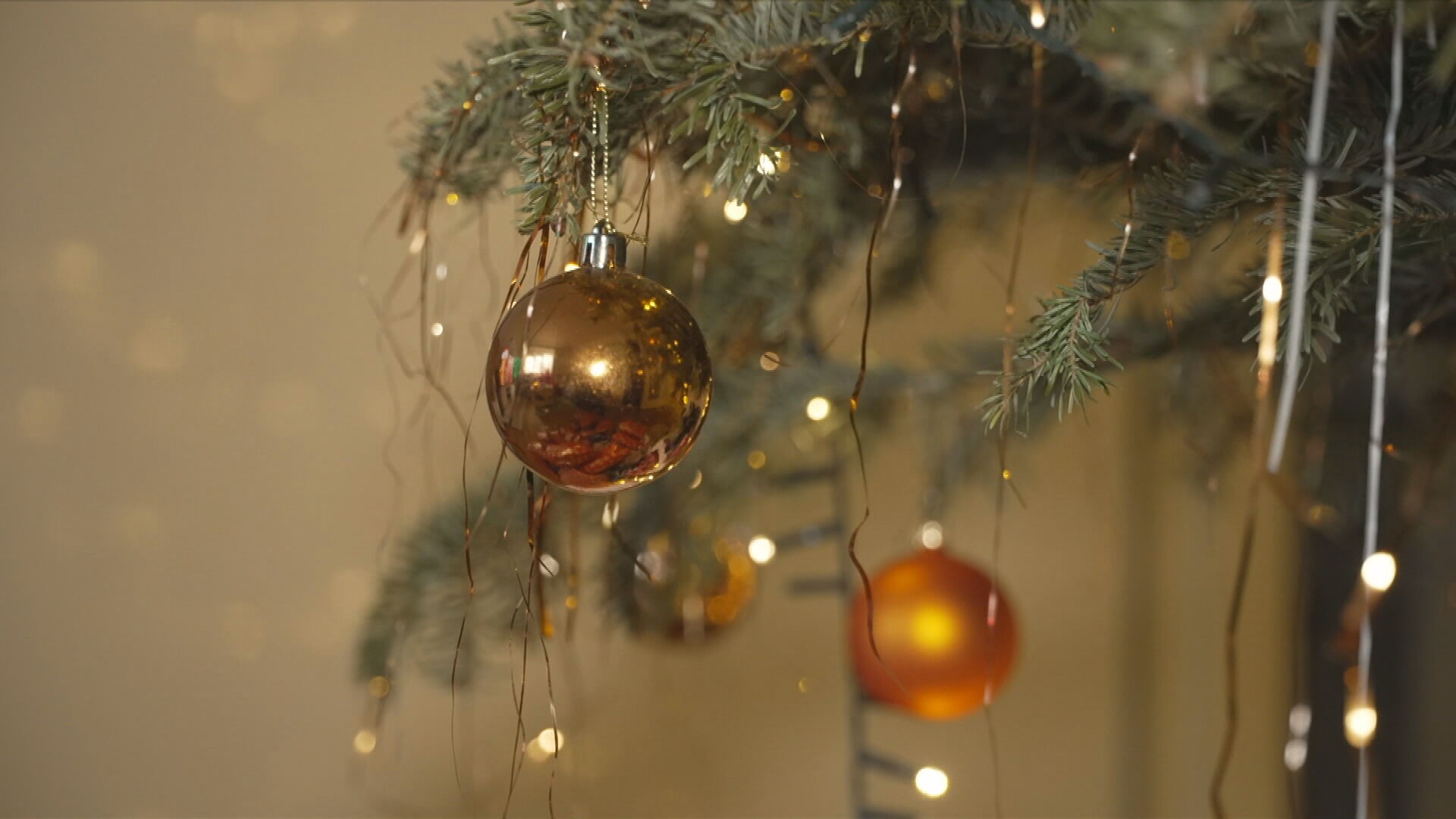 bb1d6f82-9b10-4502-b395-be488be331fc.jfif