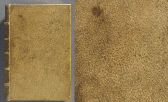 book-bound-with-human-skin-17116697225852086392277.webp