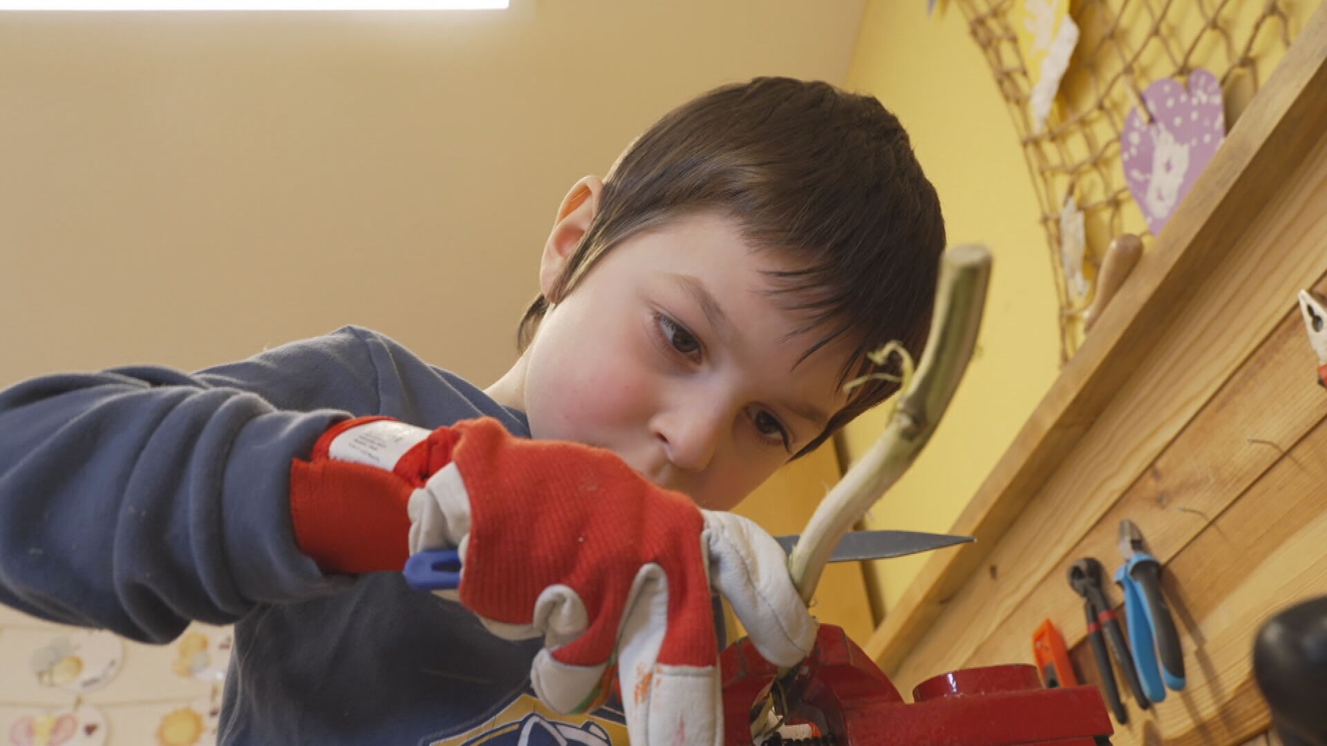 c44dbd00-fd39-404c-b3b2-35eca5637411.jfif