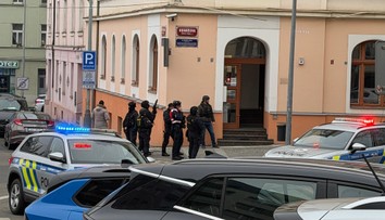 cdf83ce7-bc6d-48e4-bbfa-3c23ccbadb0c (1).jfif