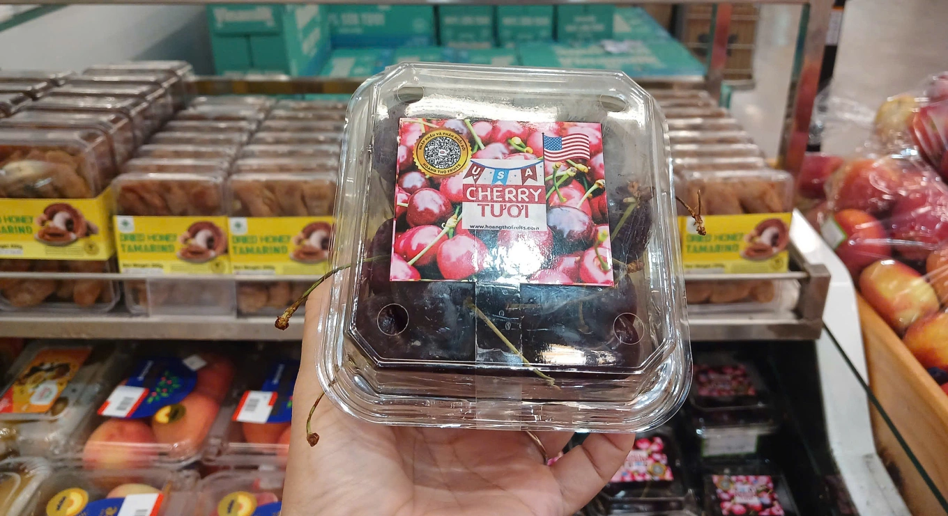 cherry-1754554763-1754554832-8021-1754555150.webp