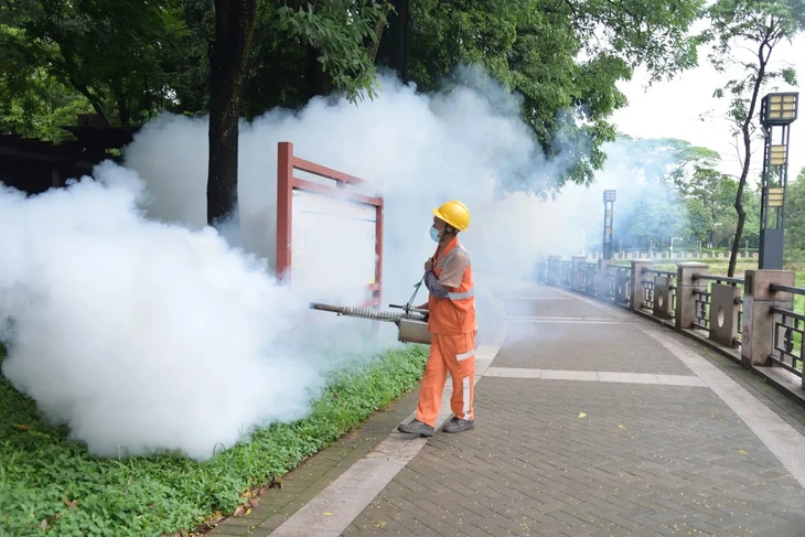 chikungunya-17544699085282119164658.webp