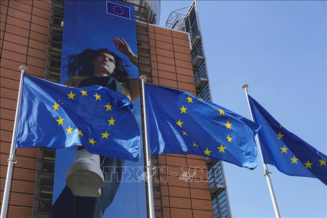 cờ EU.jpg
