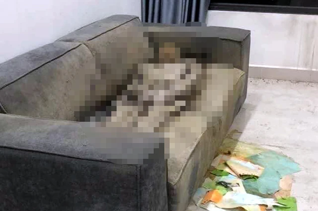 co-gai-chet-kho-tren-sofa-o-ha-noi-17142180207642108586476.webp