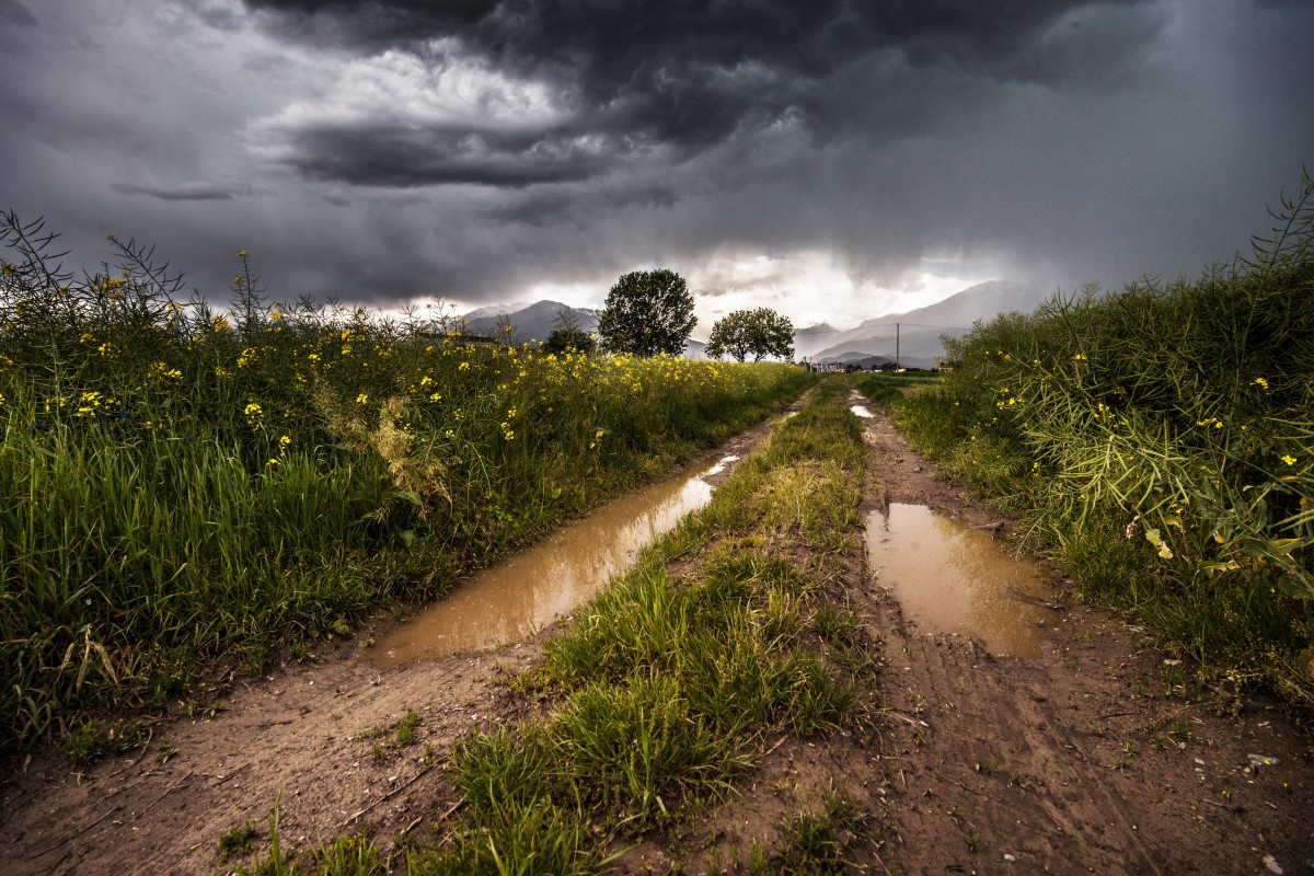 country_road_dirt_road_rural_countryside_clouds_field_landscape_nature-1096294.jpg-d.jpg