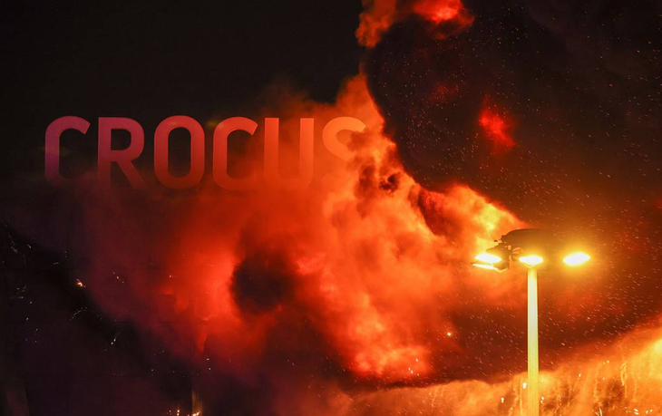 crocus0804-17125497972661170045938.webp
