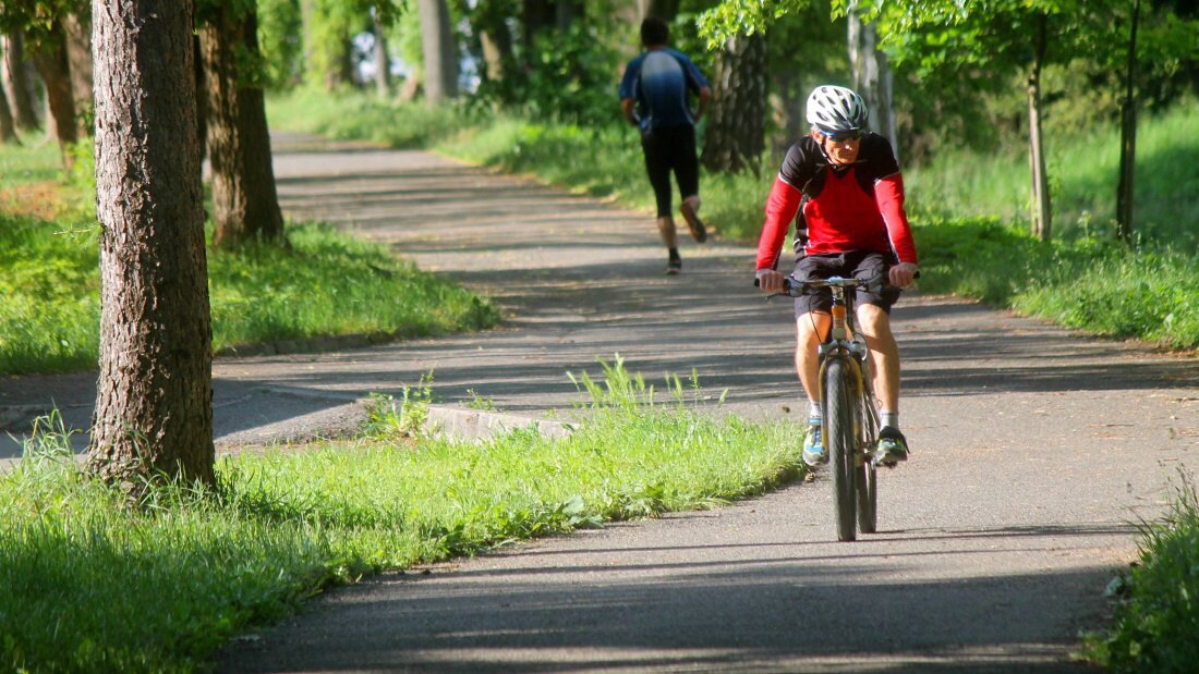 cyklostezka-cyklista-jaro-priroda-park-teplo-vylet-5456455588.jpg
