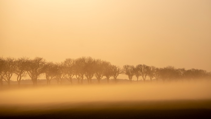 d00b8437-8635-4c9e-aaab-ec29a5f190cf.jfif