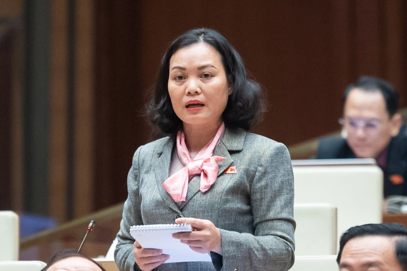 dai-bieu-huynh-thi-phuc-edited-1700817855319.webp