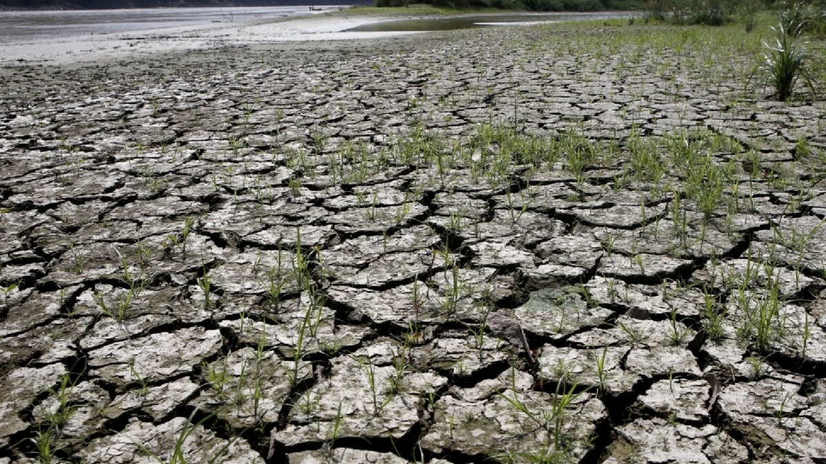 elnino-18005348.jpg