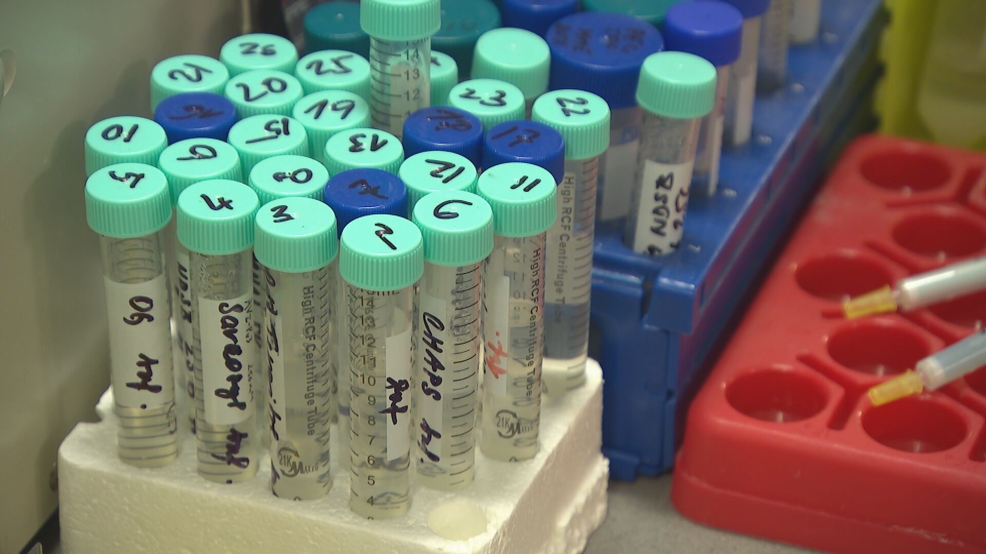 ff1caba6-a0d0-45b0-83ed-f2adc71c19f1.jfif