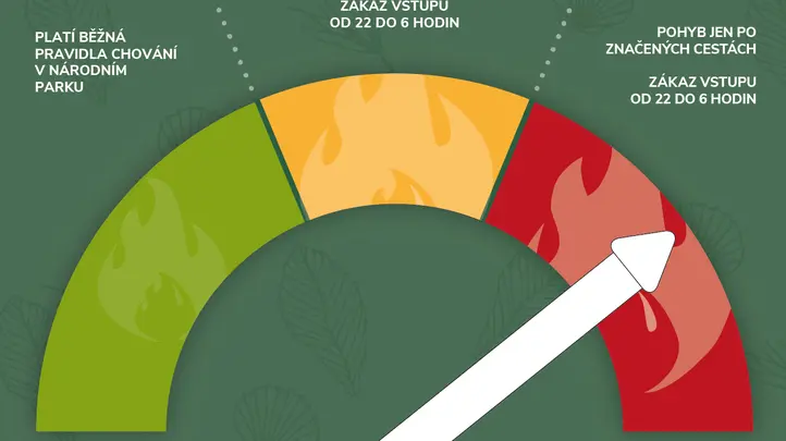 fire.webp