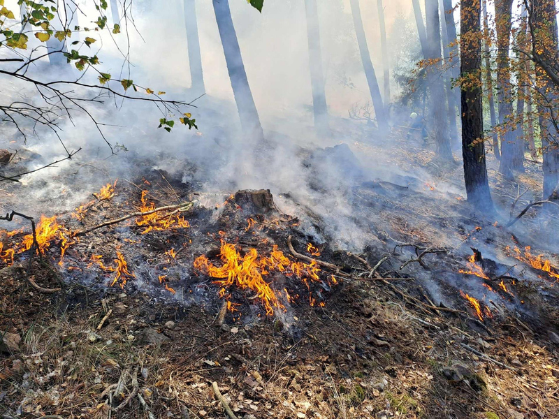 fire.jpg