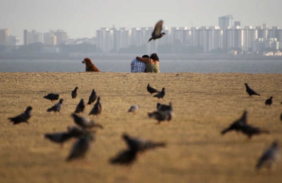 gettyimages-1247358807-1723427867344924442331.jpeg.webp