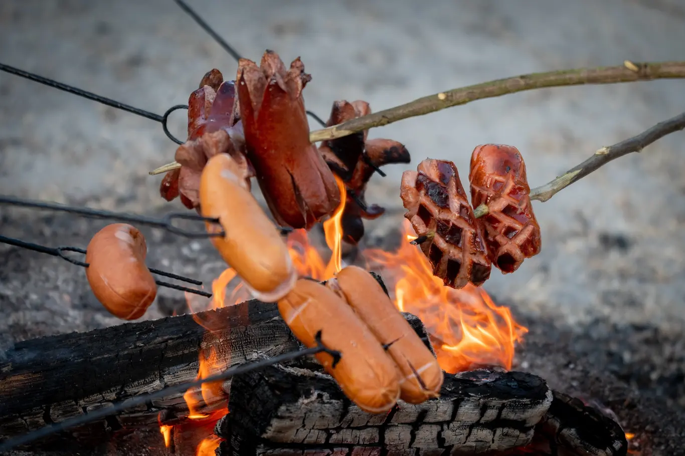 grill.webp