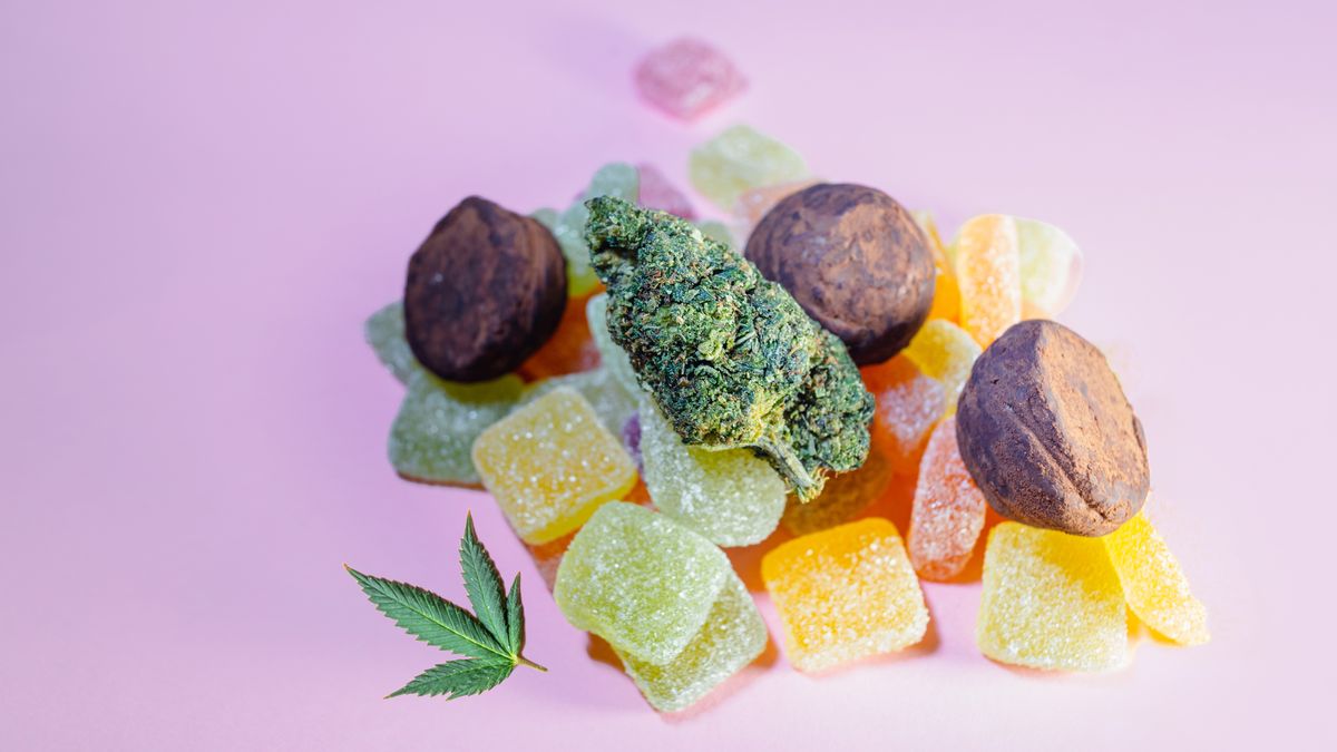 hhc-bonbon.jpeg