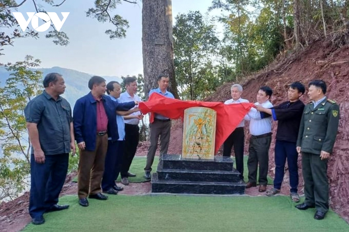 hoi_bao_ve_thien_nhien_va_moi_truong_viet_nam_va_chinh_quyen_co_quan_chuc_nang_dia_phuong_gan_bien_cay_di_san_viet_nam (1).jpg
