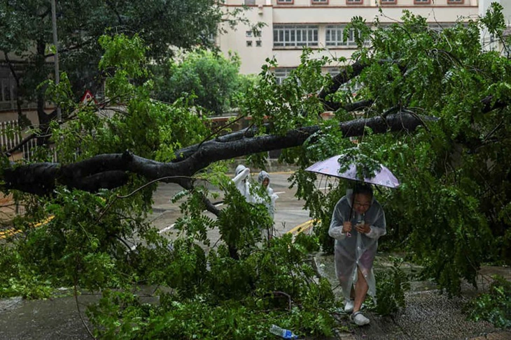 hong-kong-17530546489481490572939.jpg.webp