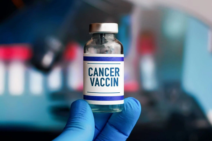 kien tri.webp
