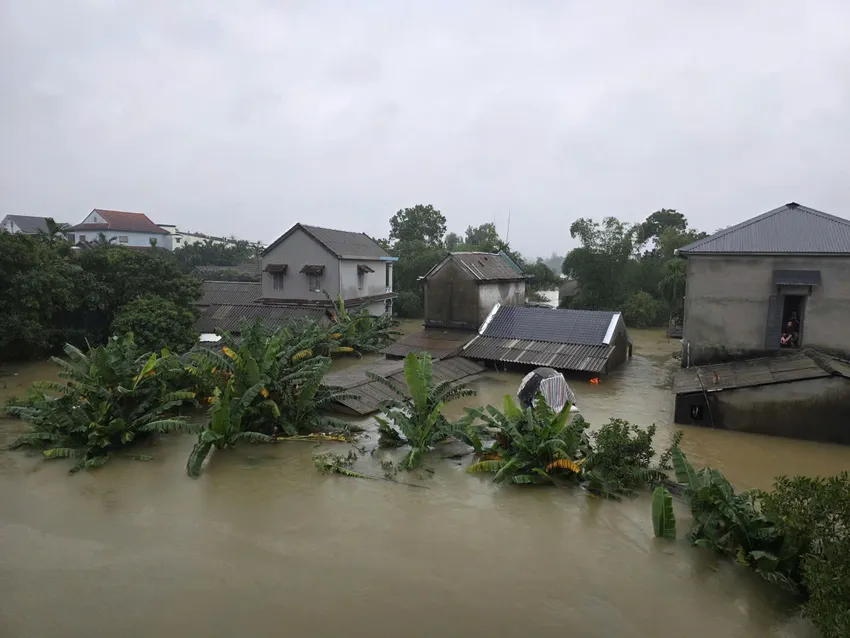 lanh lung.webp