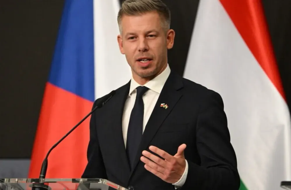 Snímek obrazovky 2026-10-29 155928.jpg