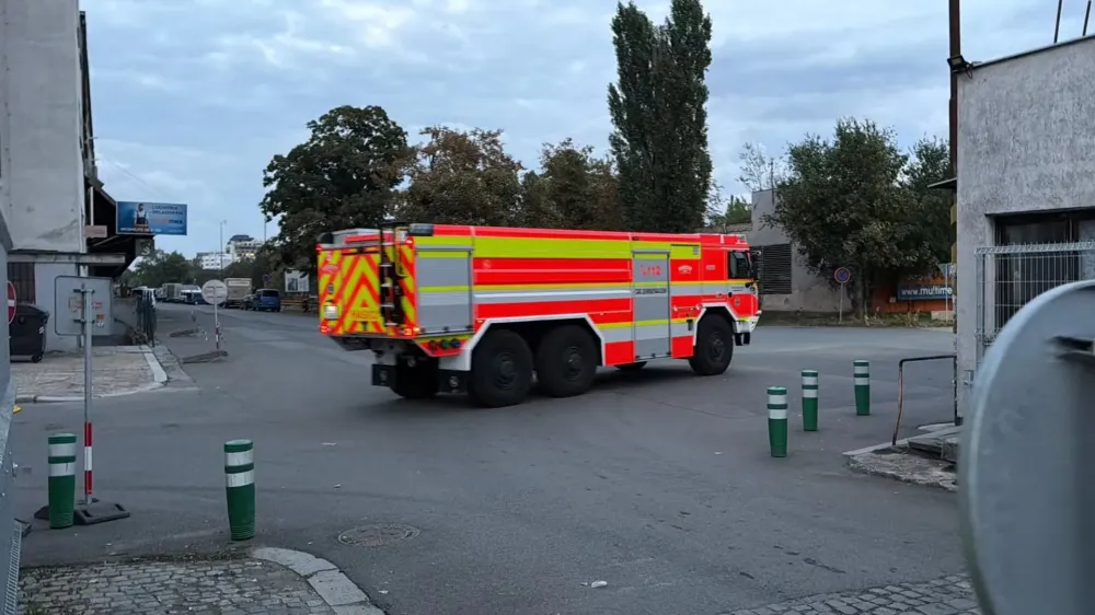 download (7).jfif