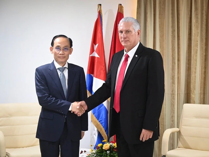 le-hoai-trung-cuba-4-1782187507819572773553.jfif