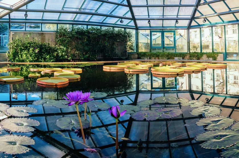 liberec-botanical-garden-czech-republic-shutterstock-by-maria-shakhmatova-qlsqf.webp
