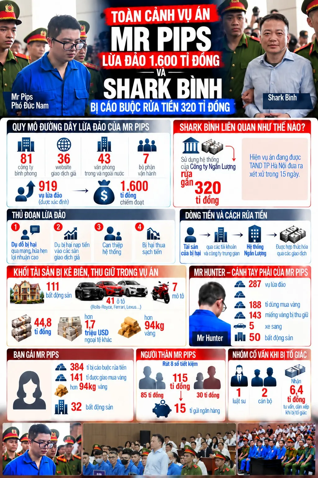 Đồ họa toàn cảnh vụ Mr Pips - Shark Bình - Đồ họa: THÂN HOÀNG
