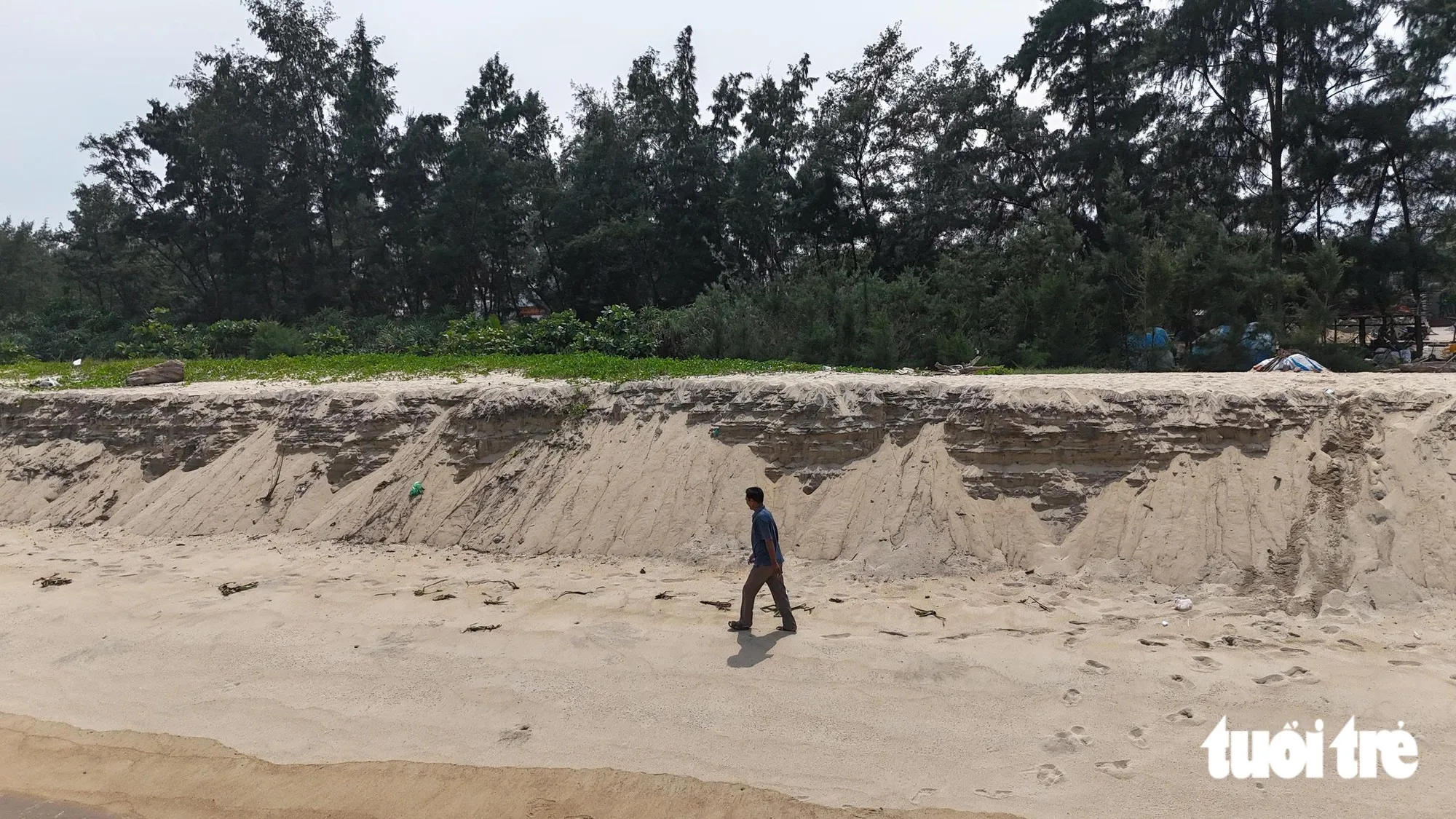 Một người dân đi bộ dọc bãi biển, bên cạnh là vách sạt dựng đứng vừa bị sóng biển gây ra vài ngày trước - Ảnh: NGUYỄN YÊN