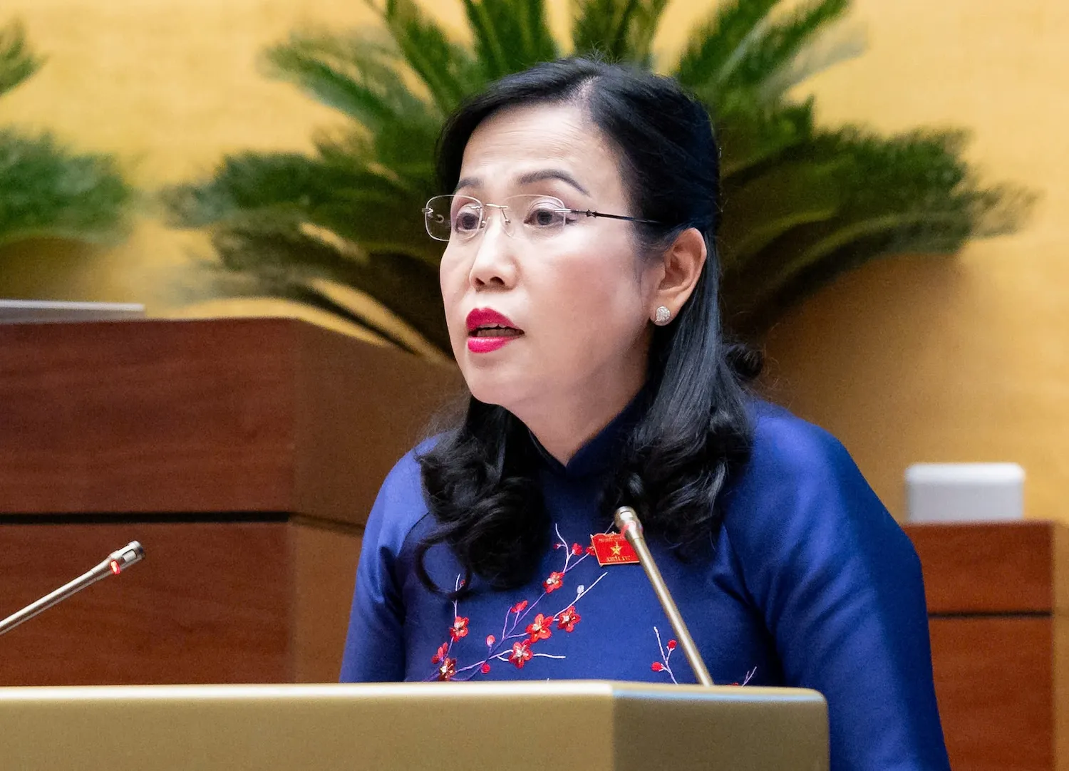 Chủ nhiệm Ủy ban Khoa học, Công nghệ và Môi trường Nguyễn Thanh Hải - Ảnh: GIA HÂN