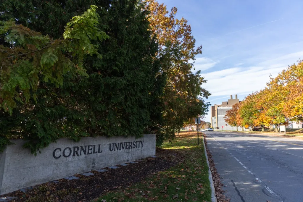 Một lối vào khuôn viên Đại học Cornell tại bang New York (Mỹ) năm 2023 - Ảnh: AFP