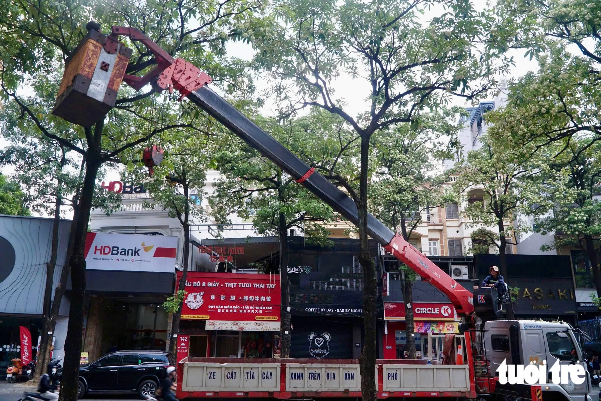 Xe chuyên dụng được huy động để thực hiện việc cắt tỉa cây - Ảnh: PHẠM TUẤN