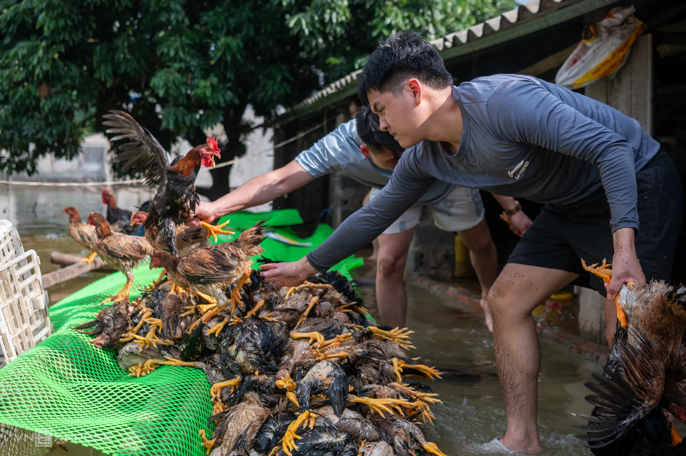 Ngập ngoại thành Hà Nội ngày 18/9.