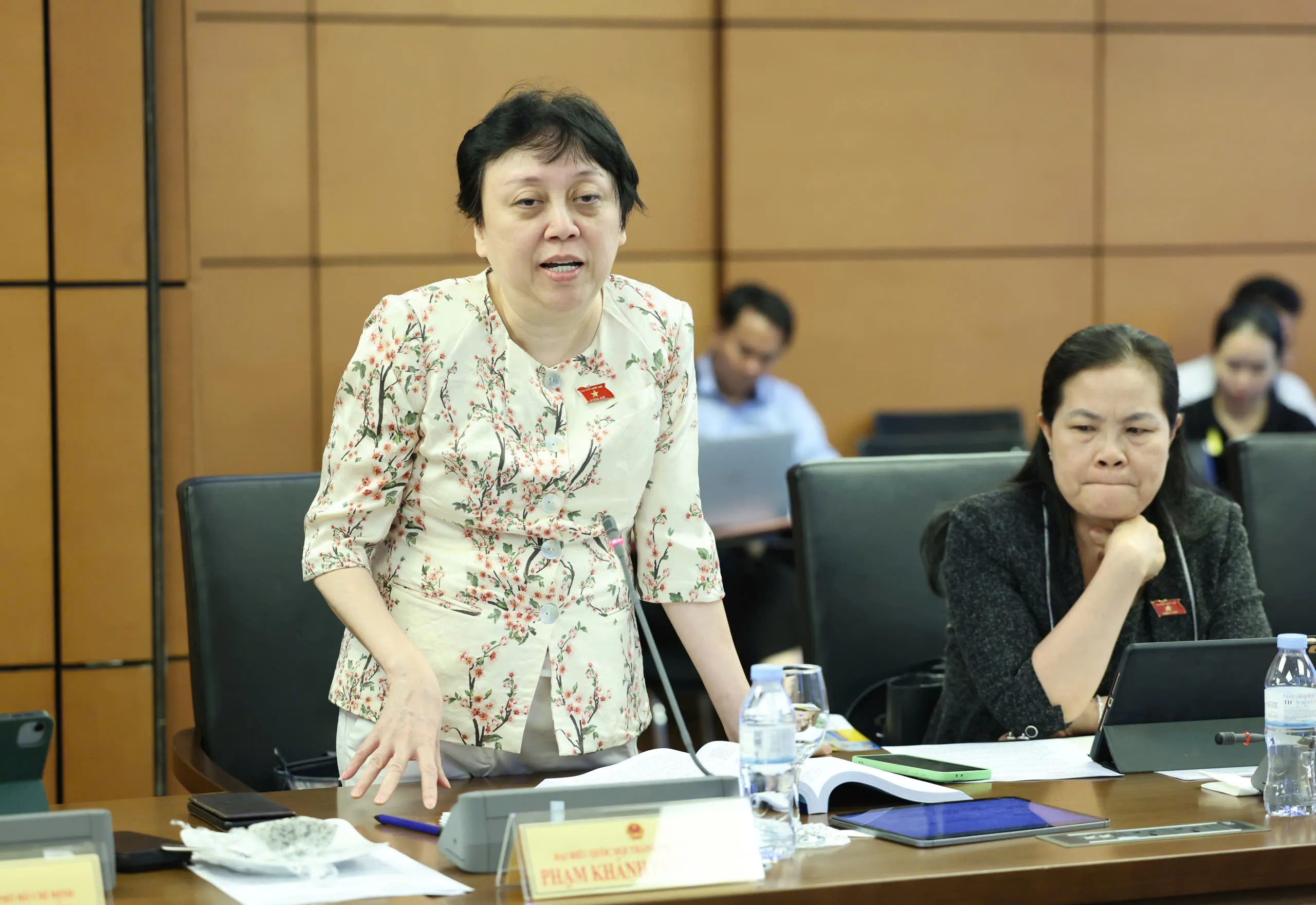 Đại biểu Phạm Khánh Phong Lan - Ảnh: Q. PHÚC