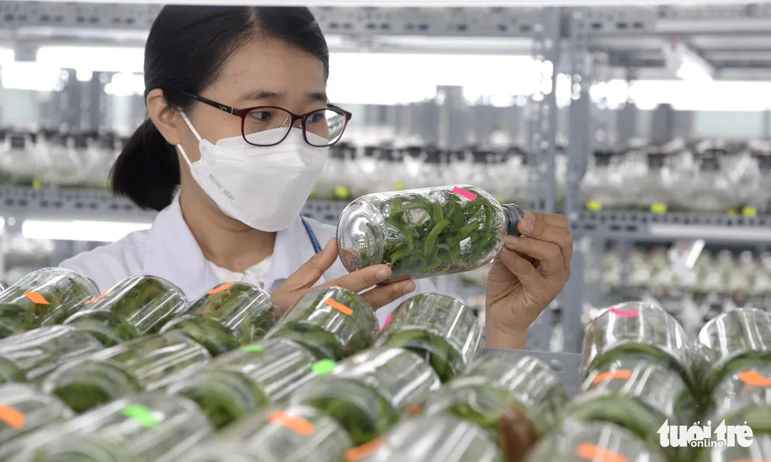 Nông nghiệp công nghệ cao là hướng đi hiệu quả của các quốc gia/vùng lãnh thổ như Trung Quốc, Hàn Quốc và một số vùng nông nghiệp tại Việt Nam - Ảnh minh họa