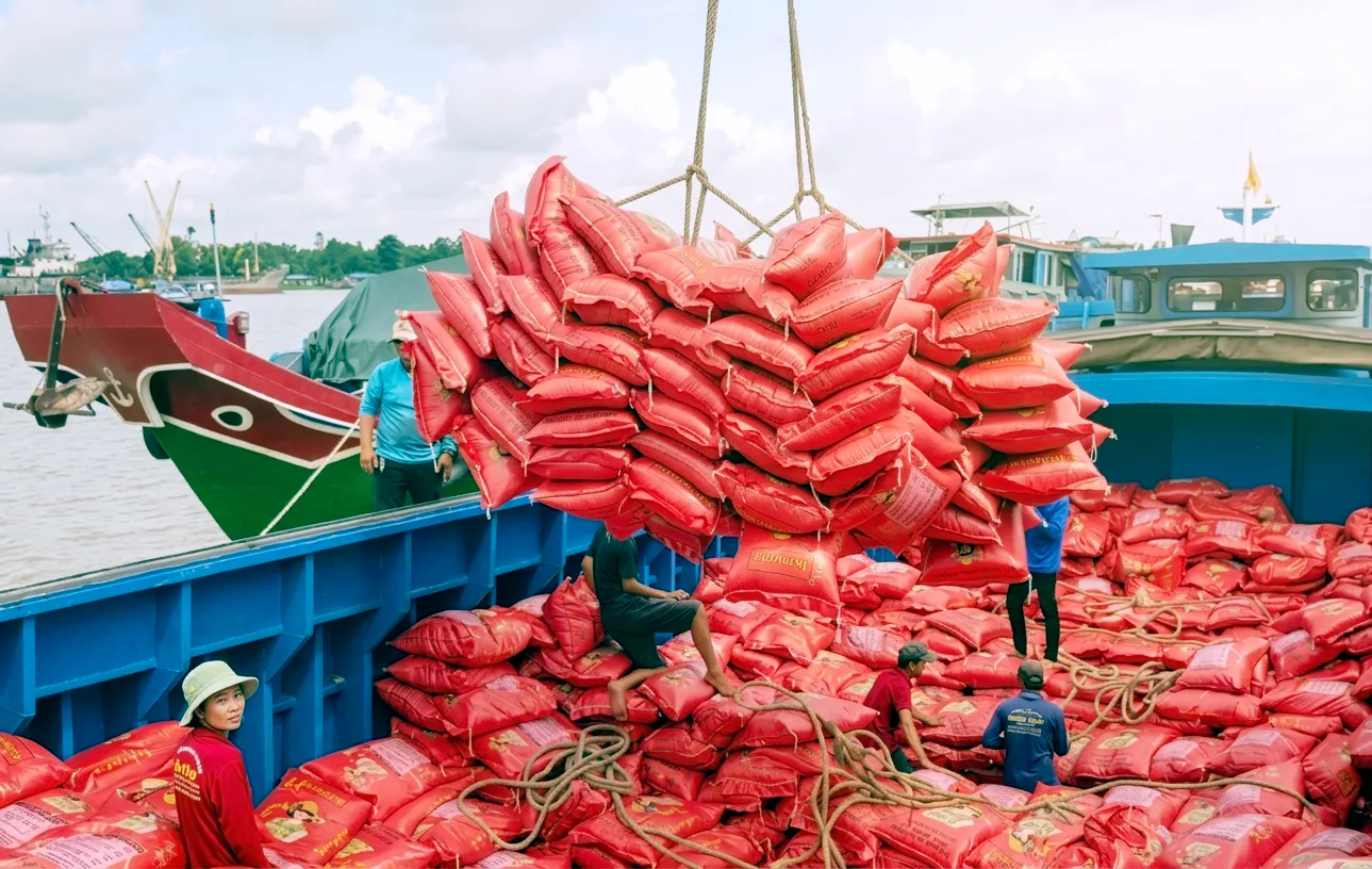 Gạo Việt Nam xuất khẩu - Ảnh: BỬU ĐẤU