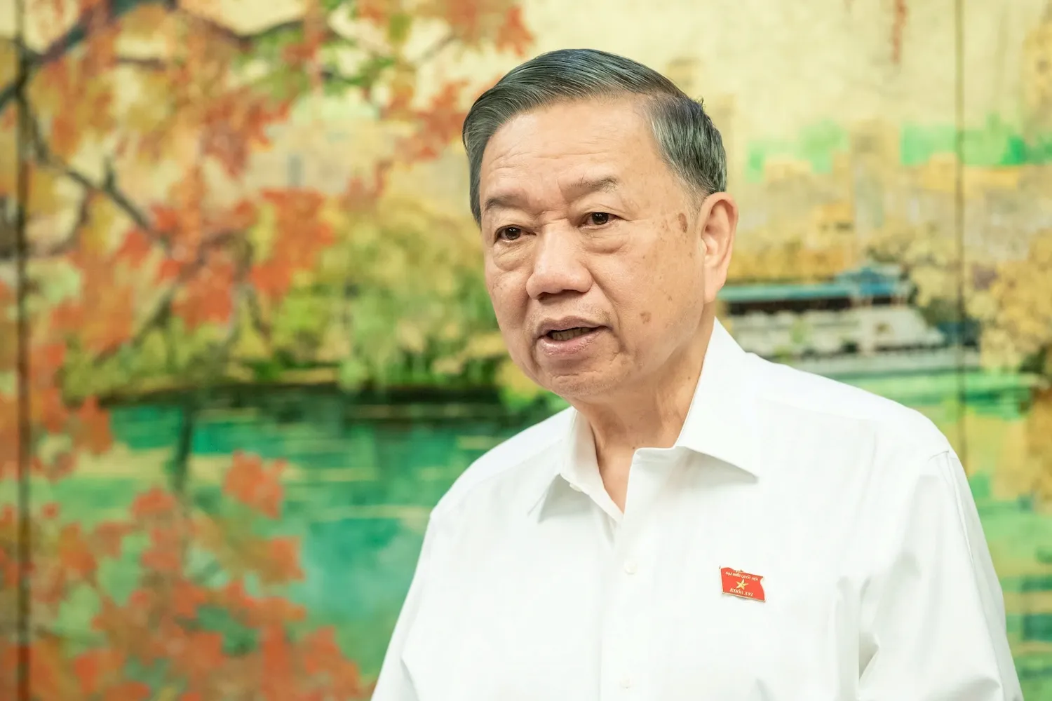 Tổng Bí thư, Chủ tịch nước Tô Lâm phát biểu - Ảnh: GIA HÂN