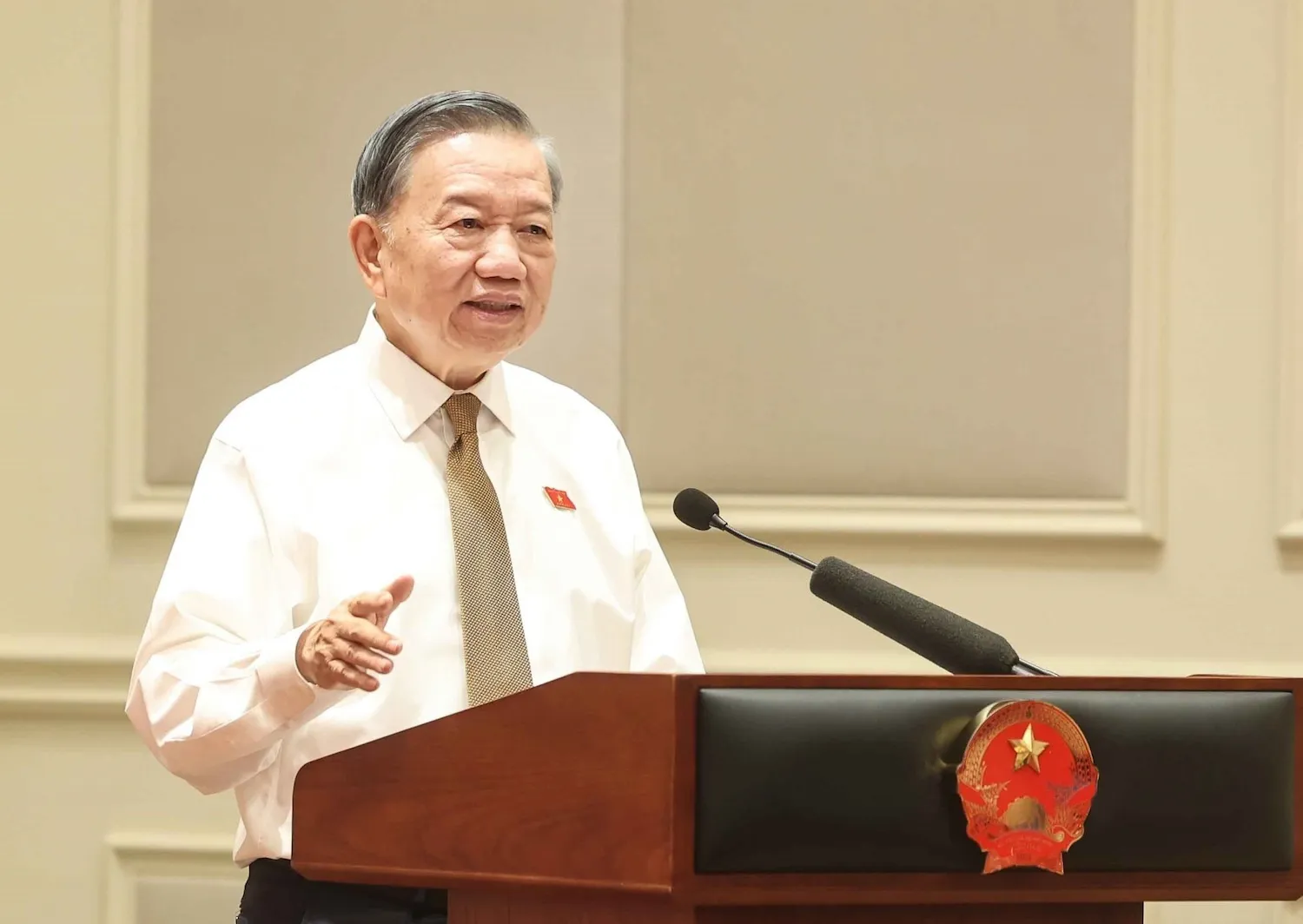 Tổng Bí thư, Chủ tịch nước Tô Lâm phát biểu - Ảnh: TTXVN