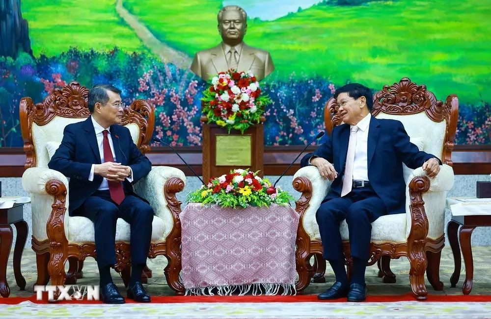 Hai nhà lãnh đạo nhất trí triển khai hiệu quả các biện pháp thúc đẩy quan hệ song phương - Ảnh: TTXVN