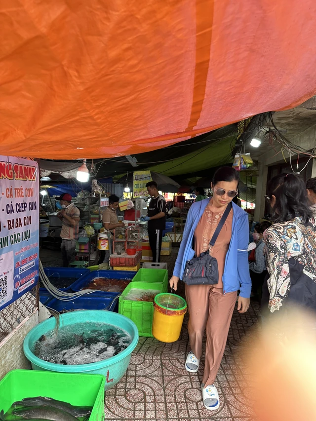 mieu-16-17080936260371705358153.webp